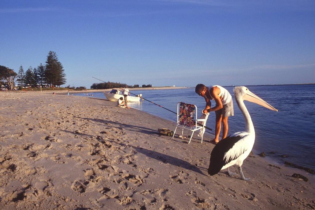 Waterview Resort Caloundra Kültér fotó